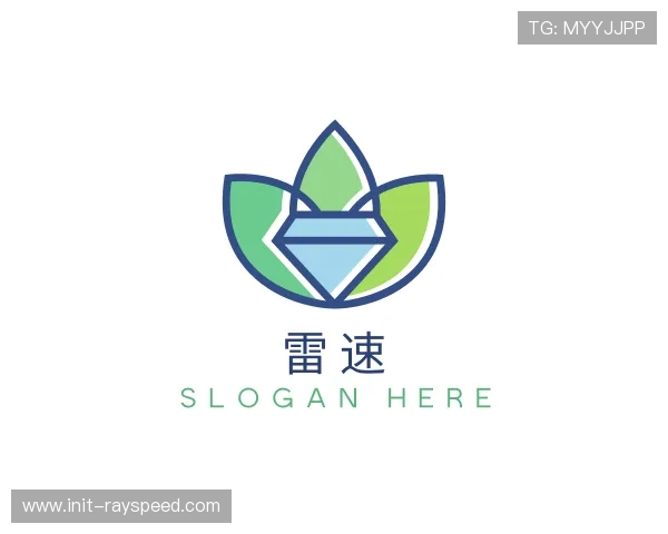 认识雷速团队